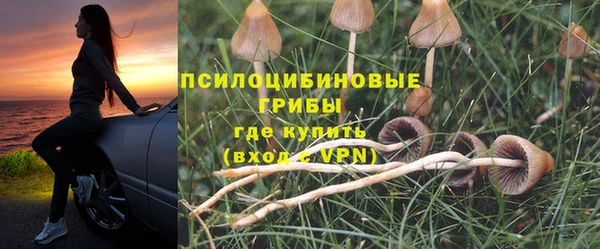 метадон Корсаков