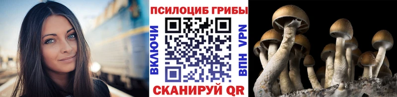 наркошоп Мамадыш OMG сайт Псилоцибиновые грибы Cubensis